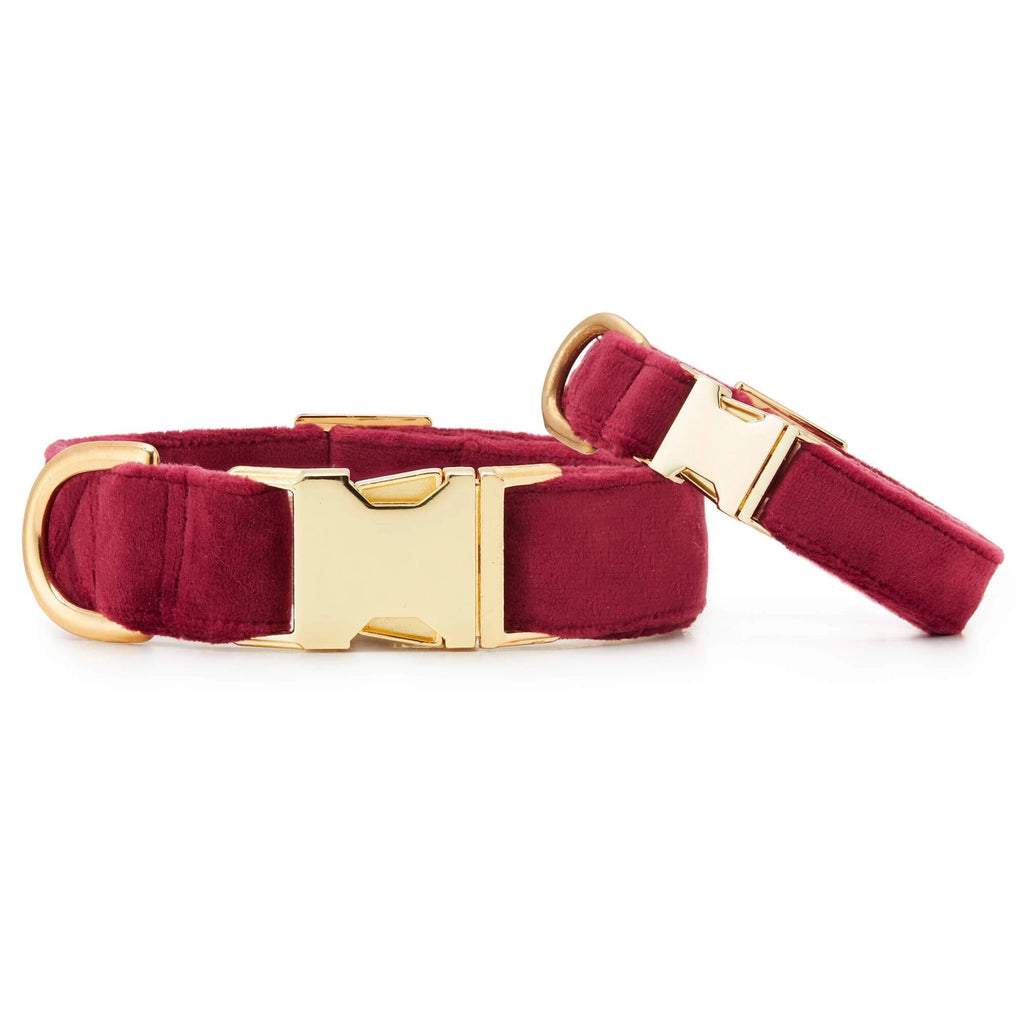 The Foggy Dog Velvet Collar