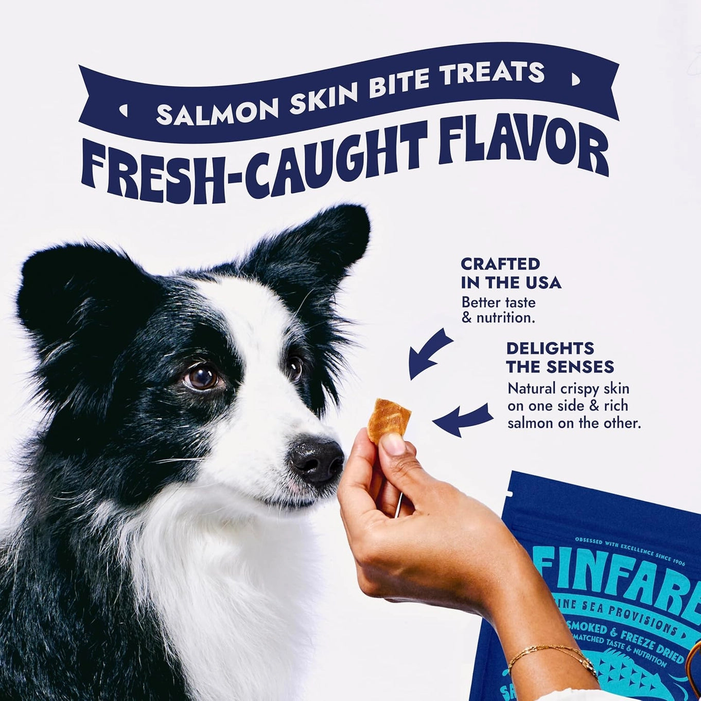 Finfare Freeze Dried Salmon Skin Bites For Dogs & Cats