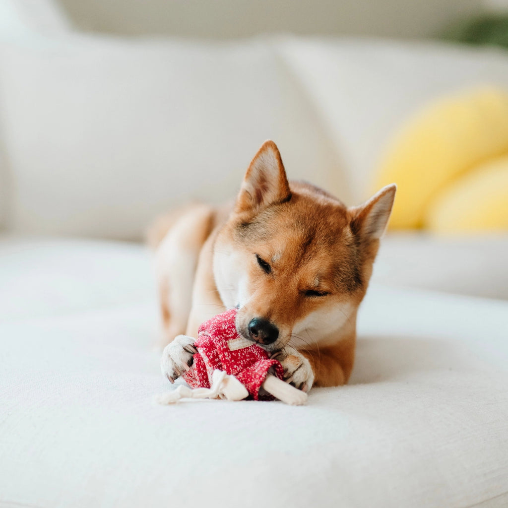 Lambwolf Collective - Lollipop Enrichment Dog Toy
