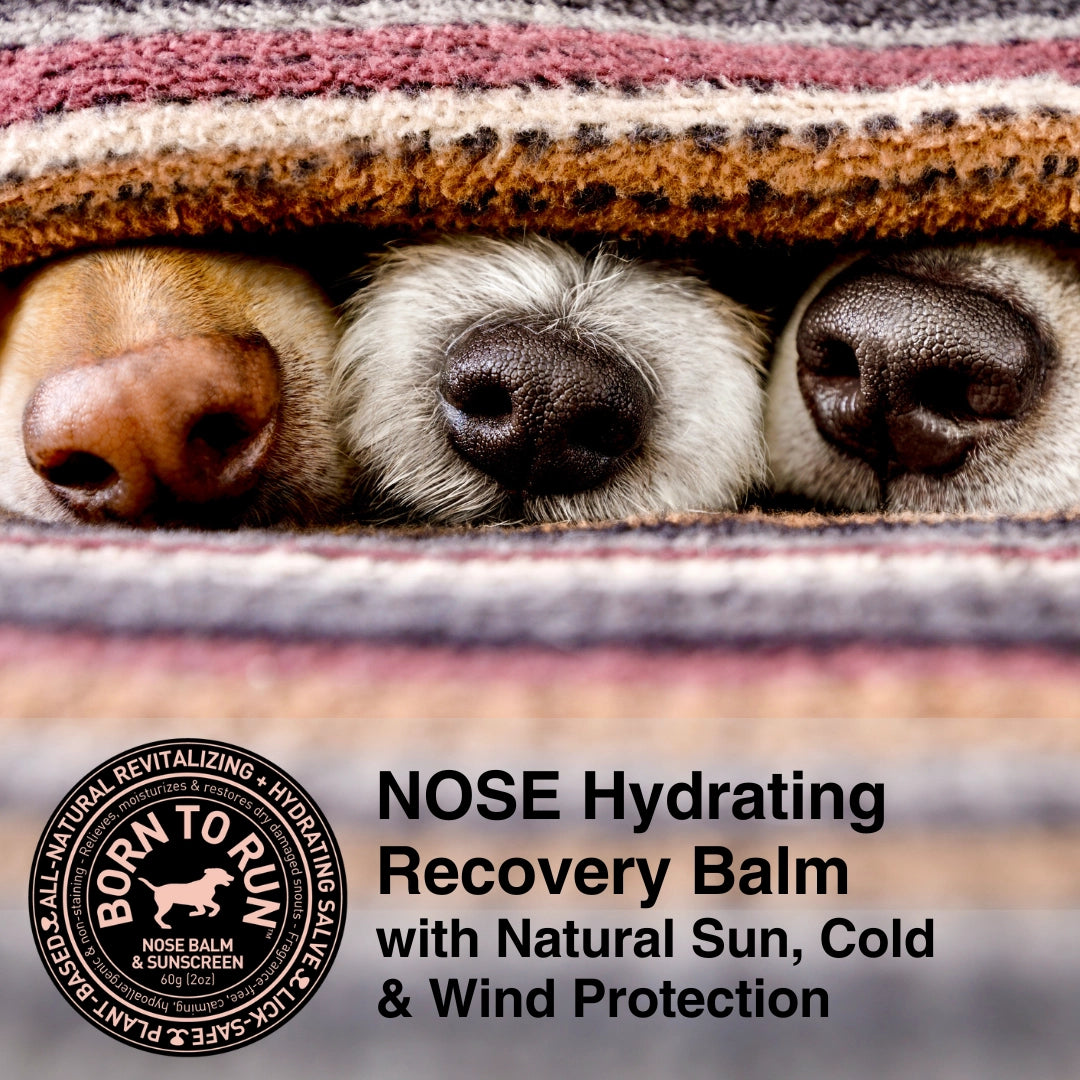 Born To Run Nose Hydrating Recovery Balm + Sunscreen Organic