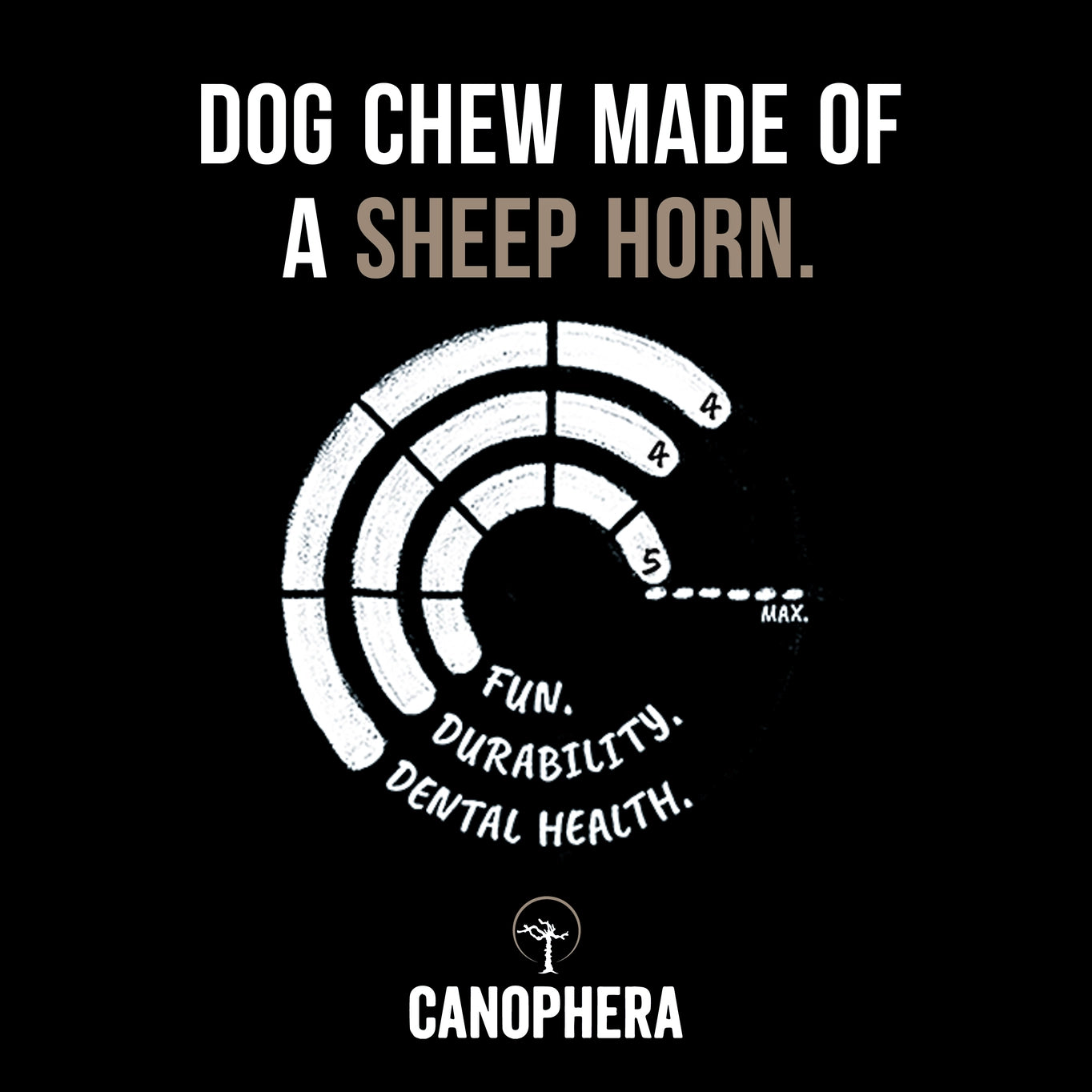 Canophera Sheep Horn Dog Chew