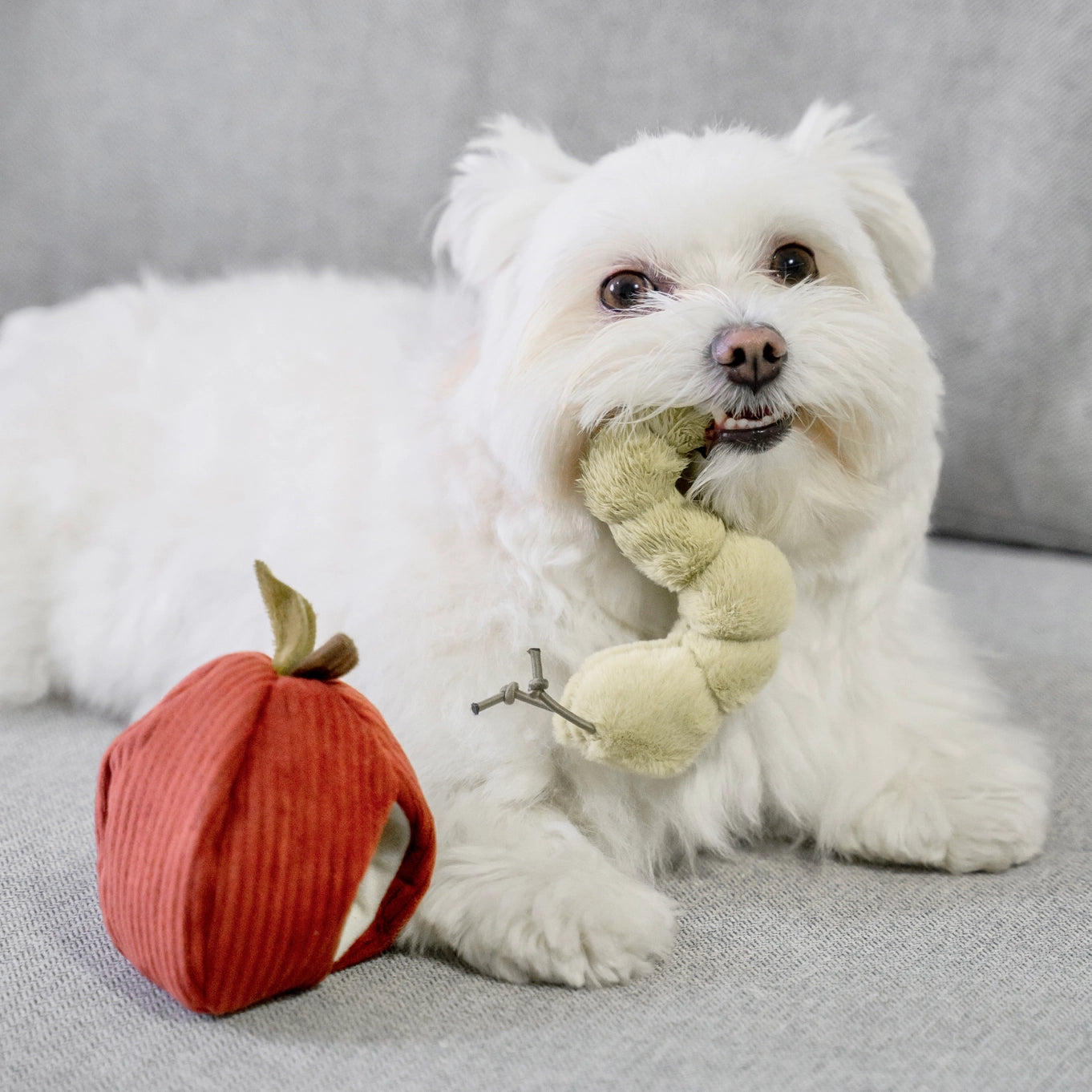 Lambwolf Collective Apple Enrichment Toy Set // Snuffle Toy