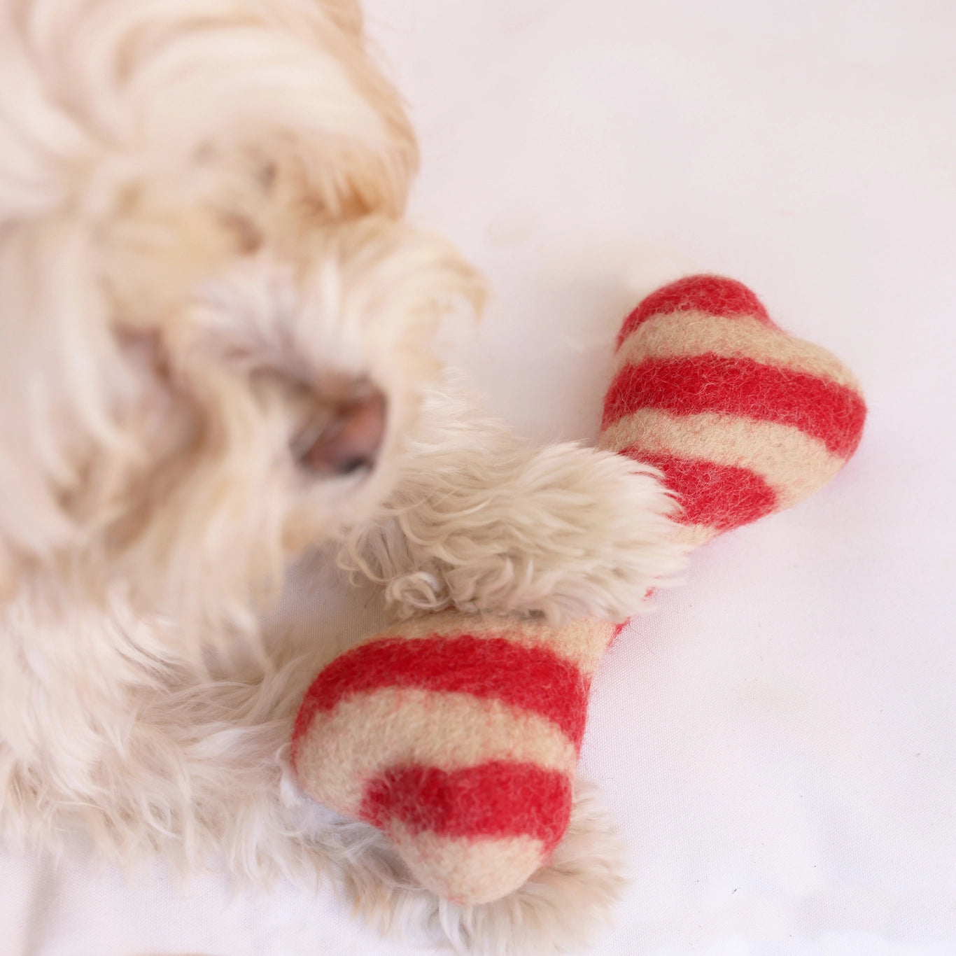 MODERNBEAST Holiday Wool Dog Toys