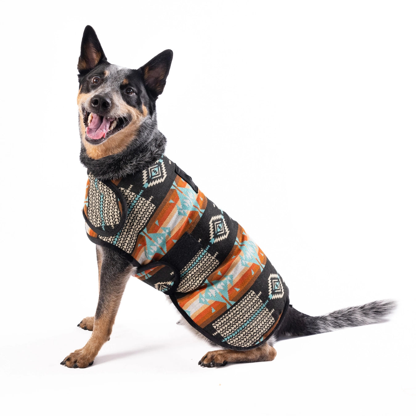 Chilly Dog Blanket Coat