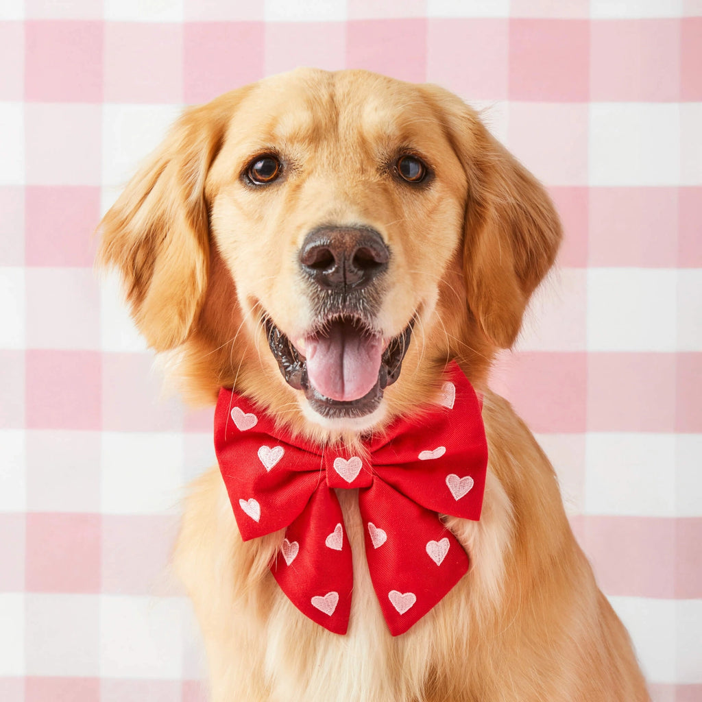 The Foggy Dog Hearts Embroidered Lady Dog Bow
