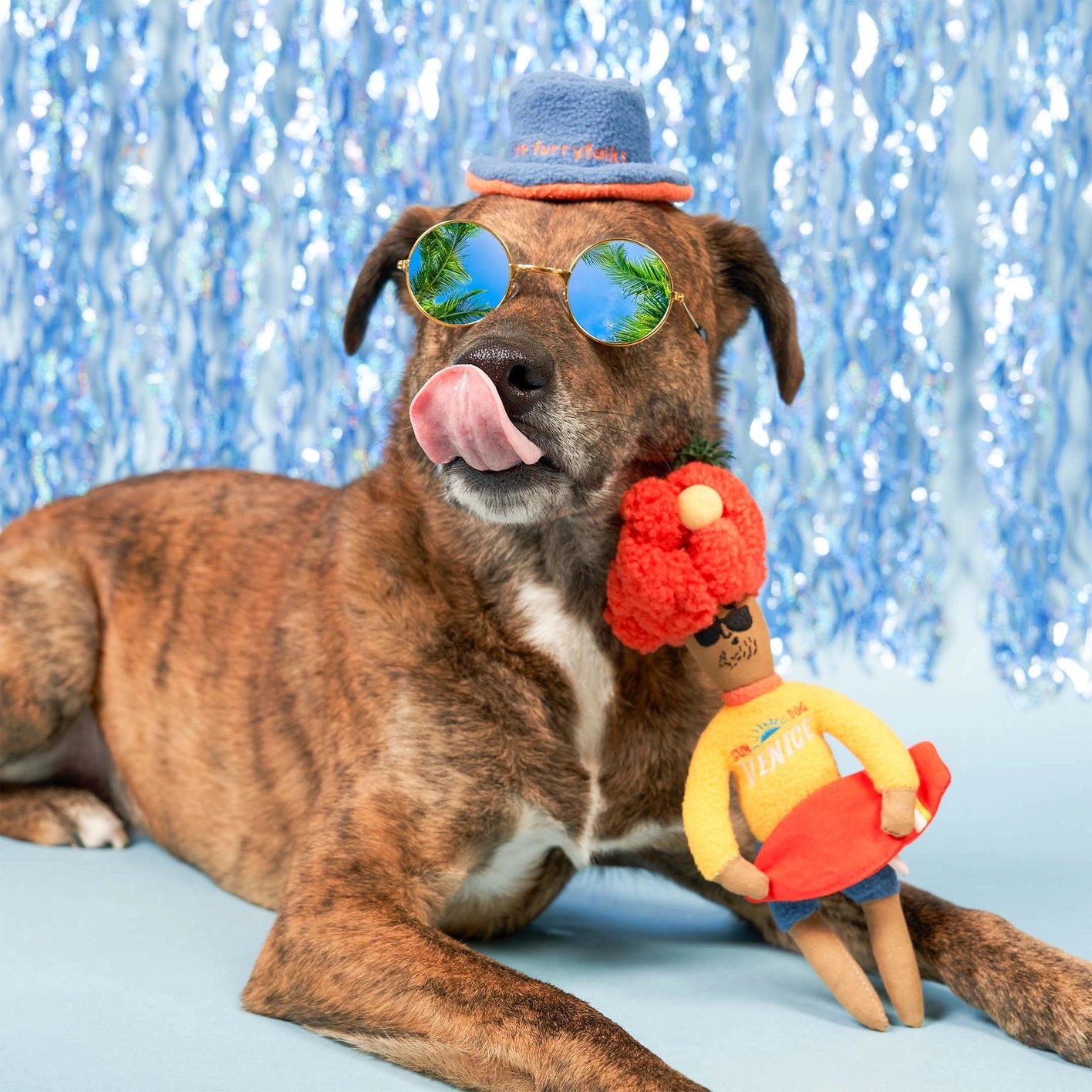 The Furry Folks Surfer Hooman Nosework Toy