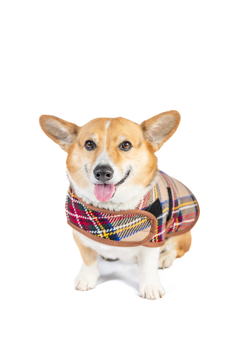 Chilly Dog Tan Tartan Dog Blanket Coat
