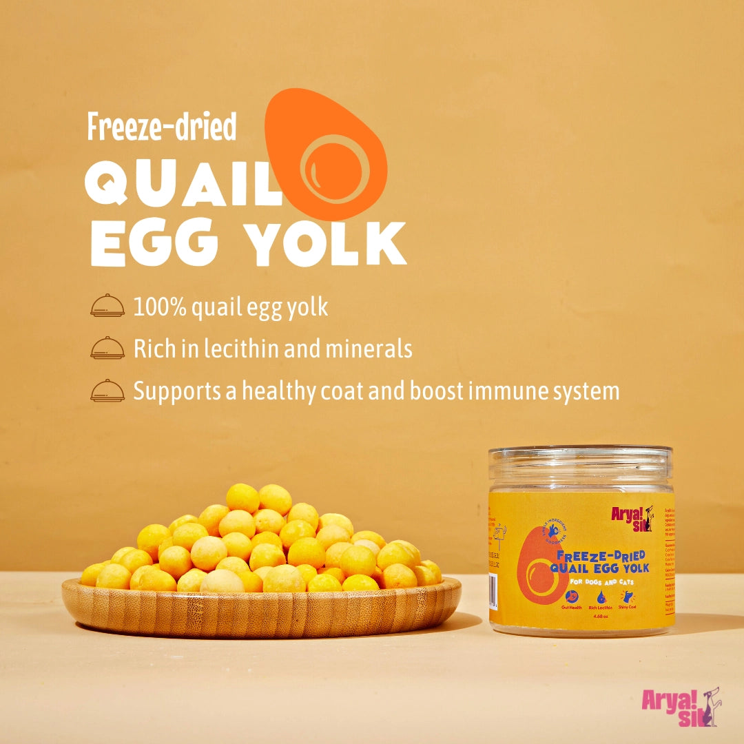 Arya Sit! Freeze Dried Quail Egg Yolk