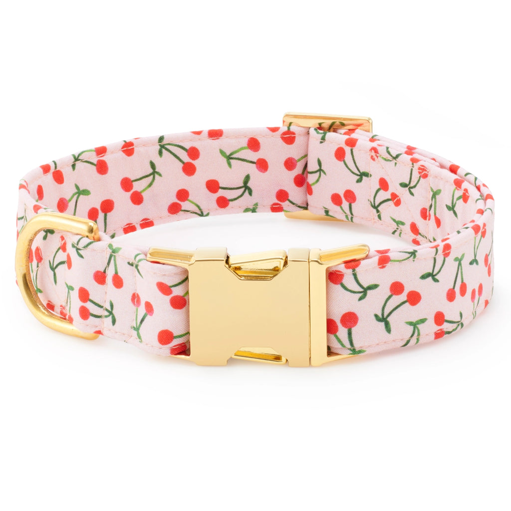 The Foggy Dog Cherry Jubilee Dog Collar