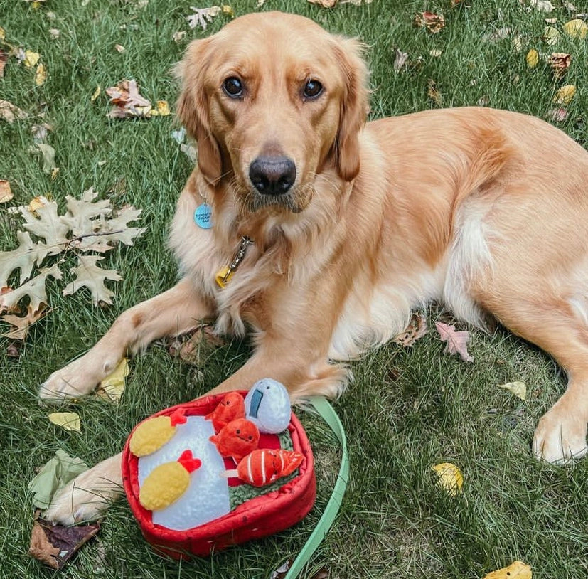 Woof & Co. Benny Bento Box