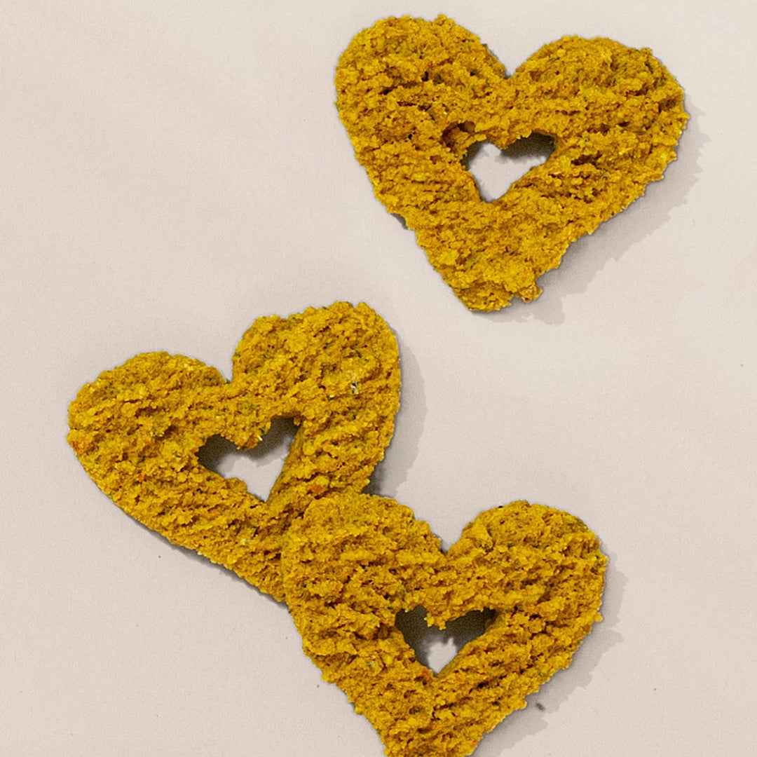 Gogoma Turmeric + Anchovy Dog Treat For Mobility