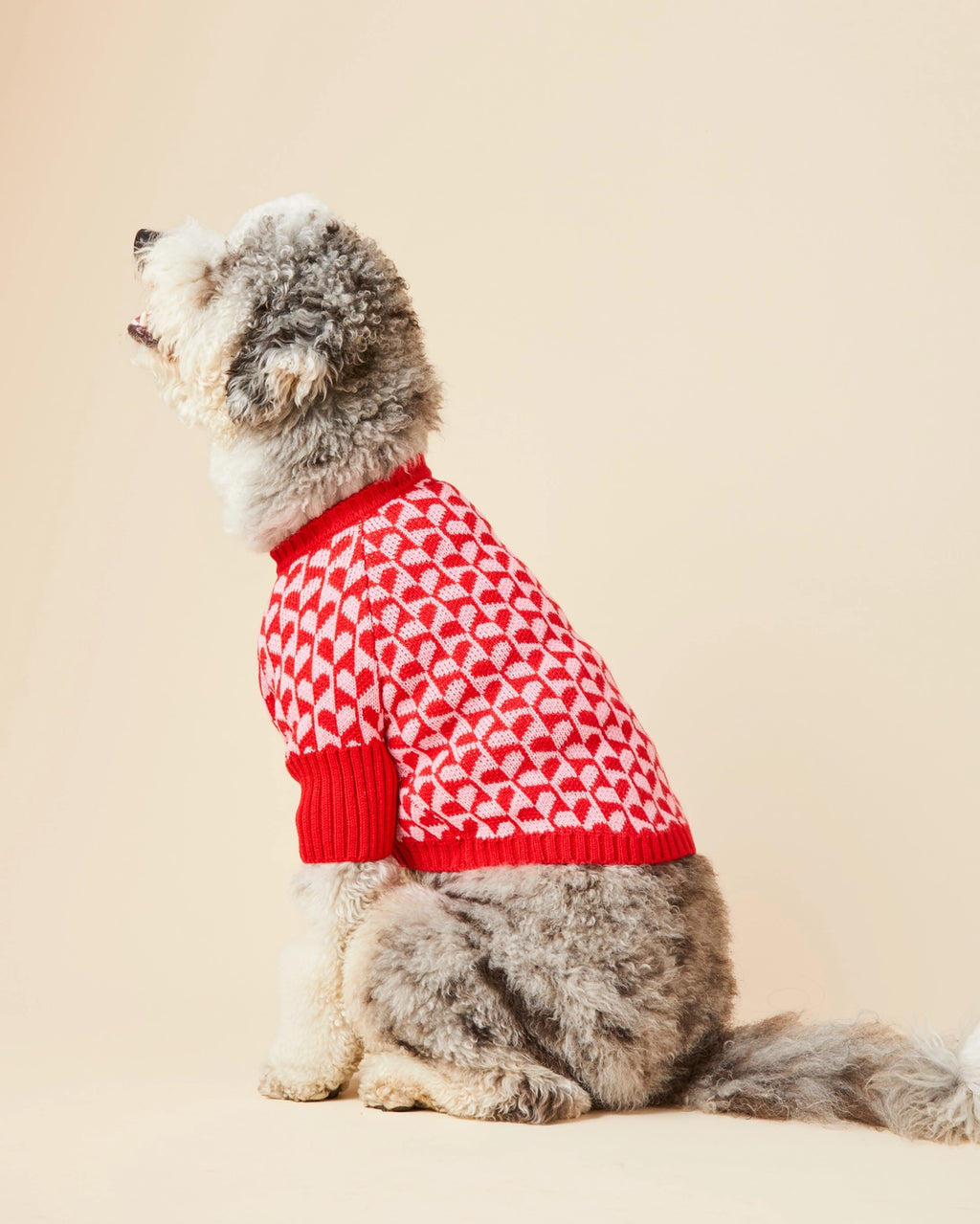 The Foggy Dog Heart Stripe Valentine's Day Dog Sweater