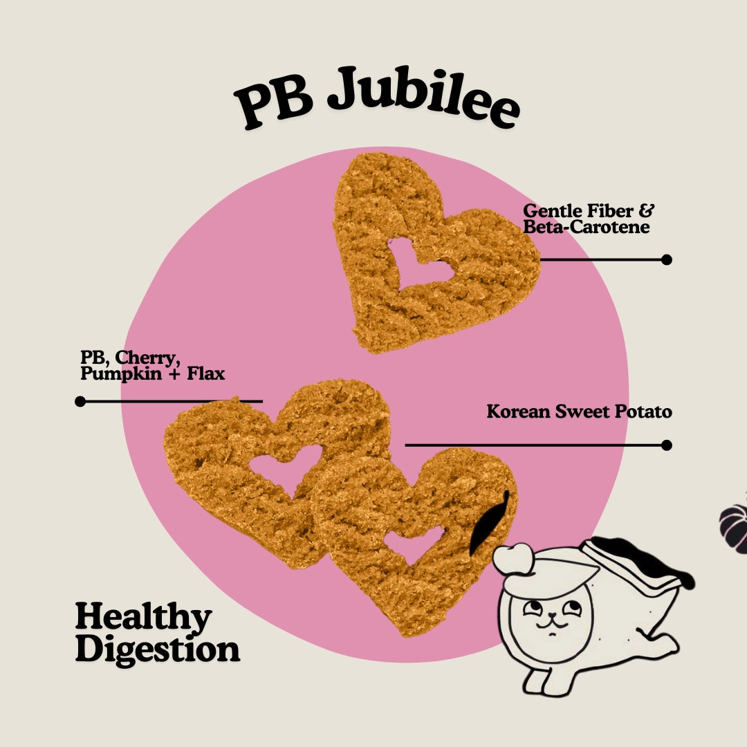 Gogoma PB + Pumpkin Dog Treat For Digestion