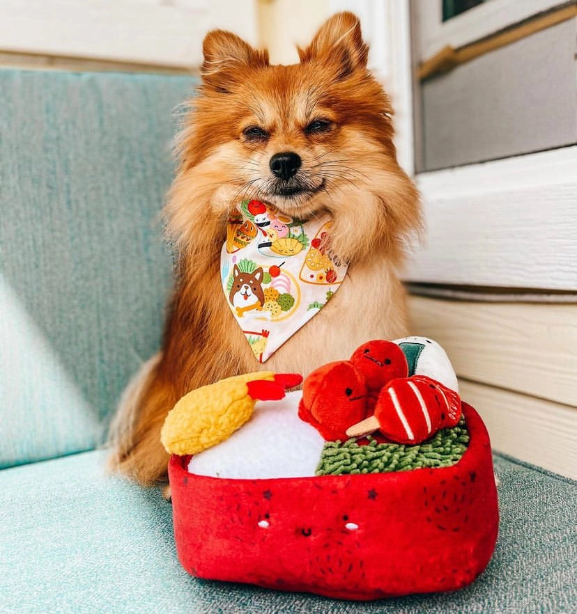 Woof & Co. Benny Bento Box