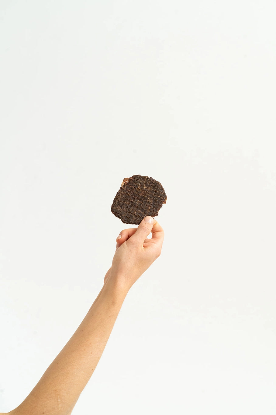 Bison Burger Jerky