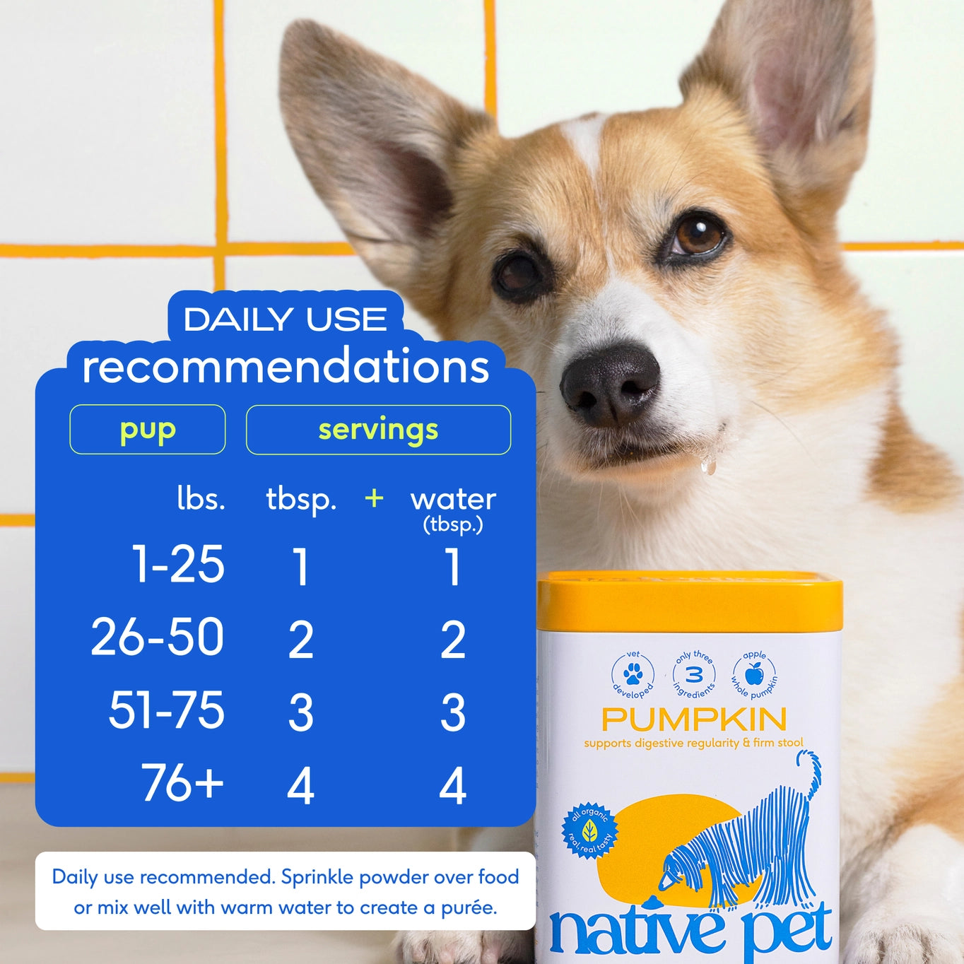 Native Pet Organic Pumpkin Fiber Powder, Digestive Supplement For Dogs 16oz