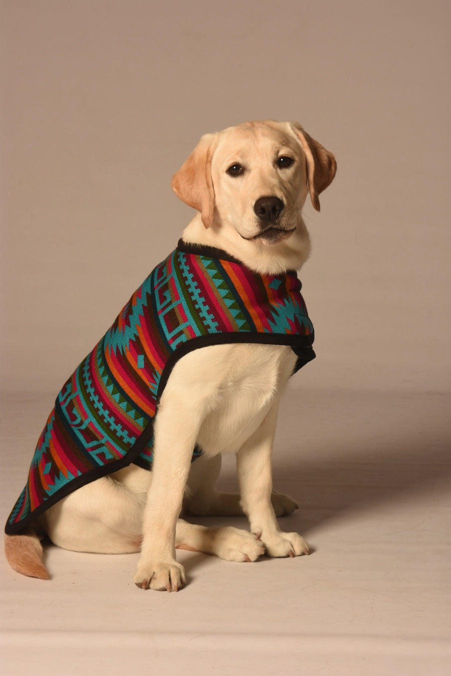 Chilly Dog Blanket Coat