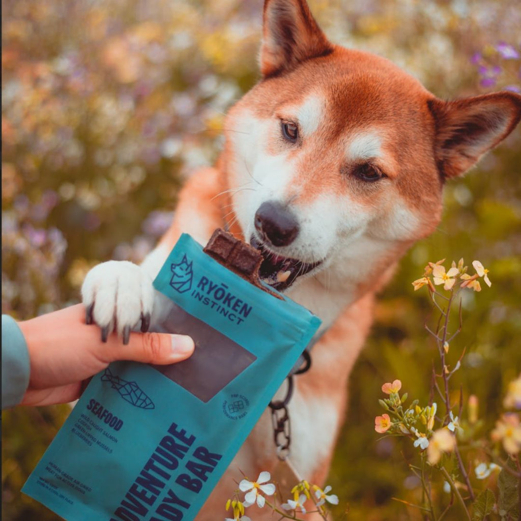 Ryōken Instinct Seafood Treat & Snack Bar For Active Dogs - Energy & Recovery