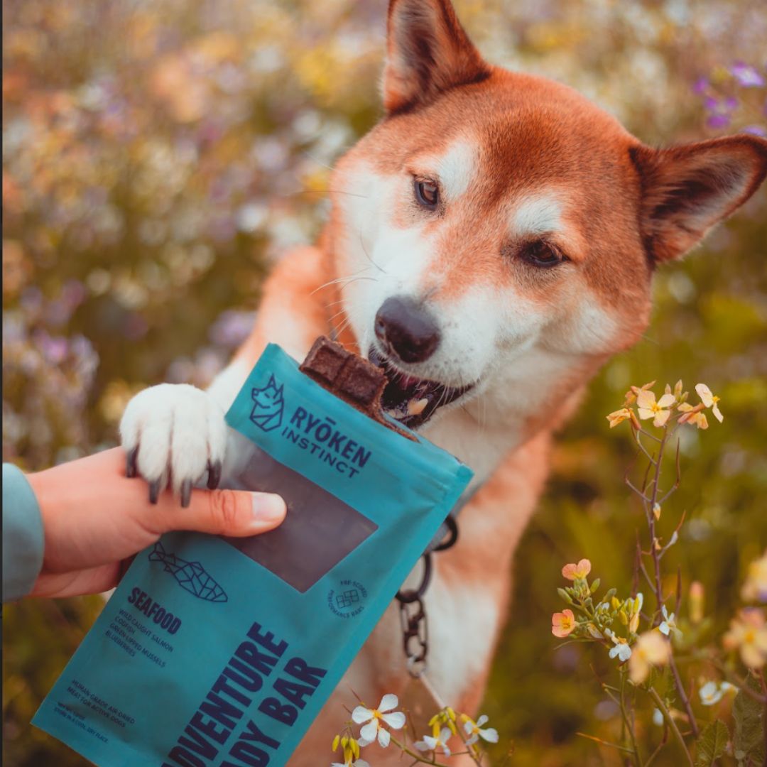 Ryōken Instinct Seafood Treat & Snack Bar For Active Dogs - Energy & Recovery