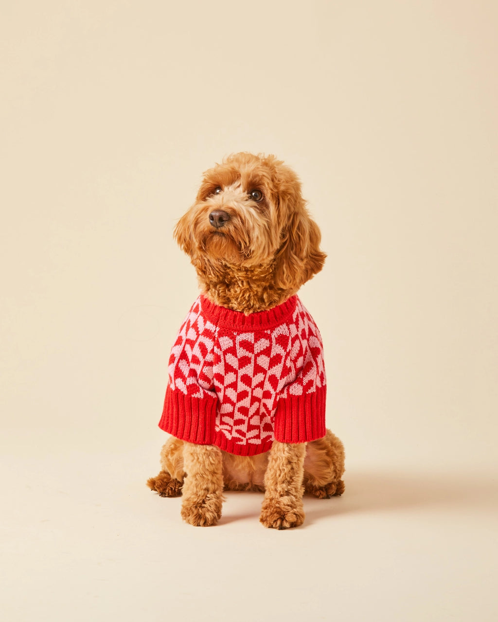 The Foggy Dog Heart Stripe Valentine's Day Dog Sweater