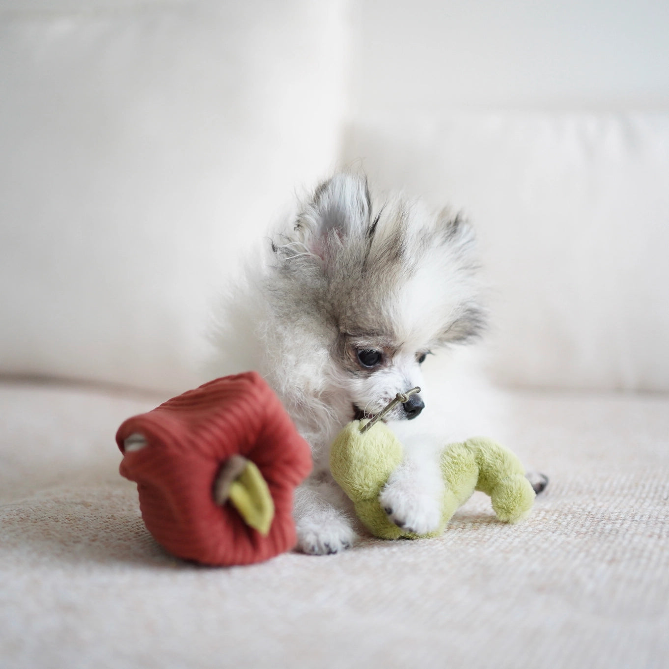 Lambwolf Collective Apple Enrichment Toy Set // Snuffle Toy