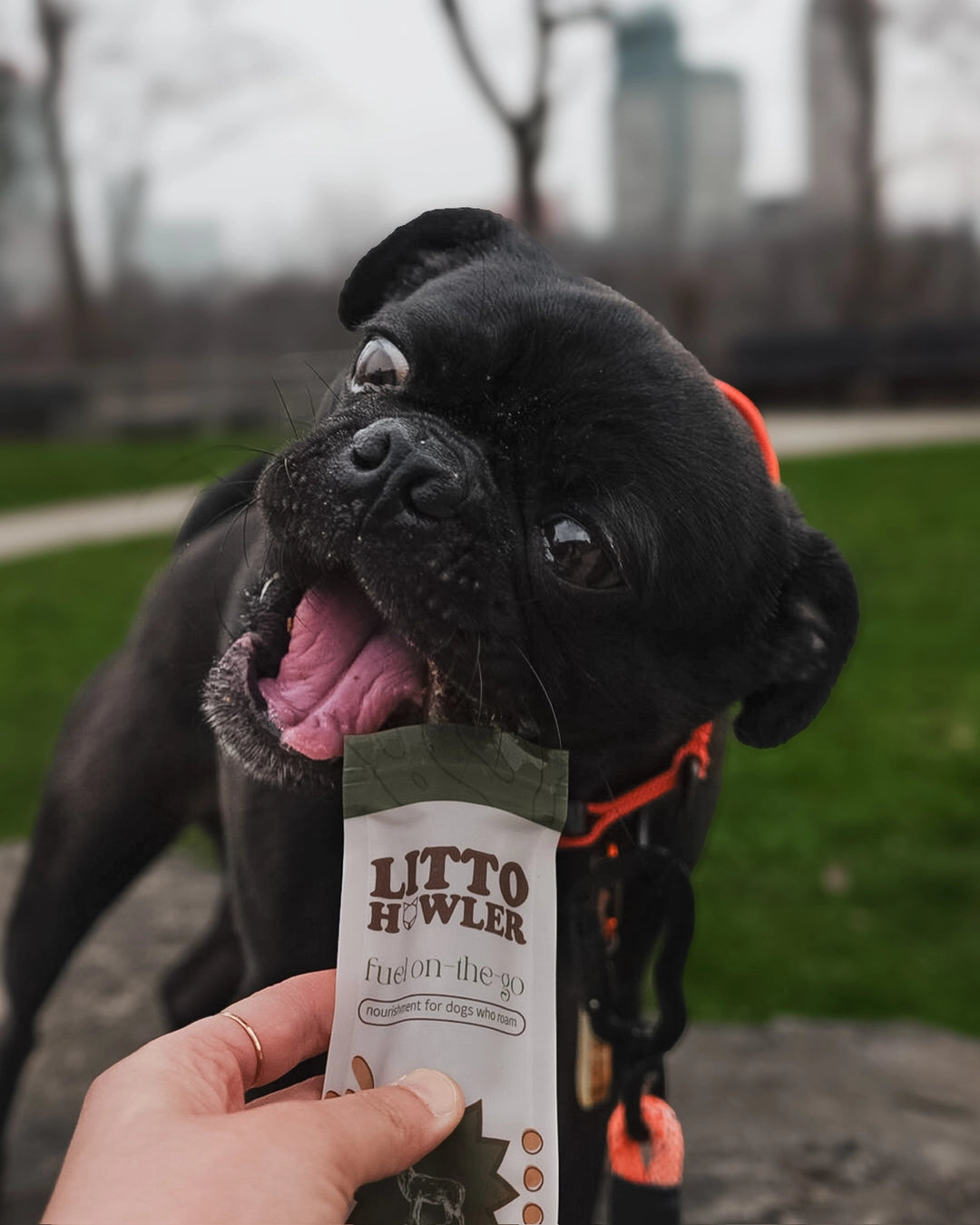 Litto Howler Wild Venison Stick