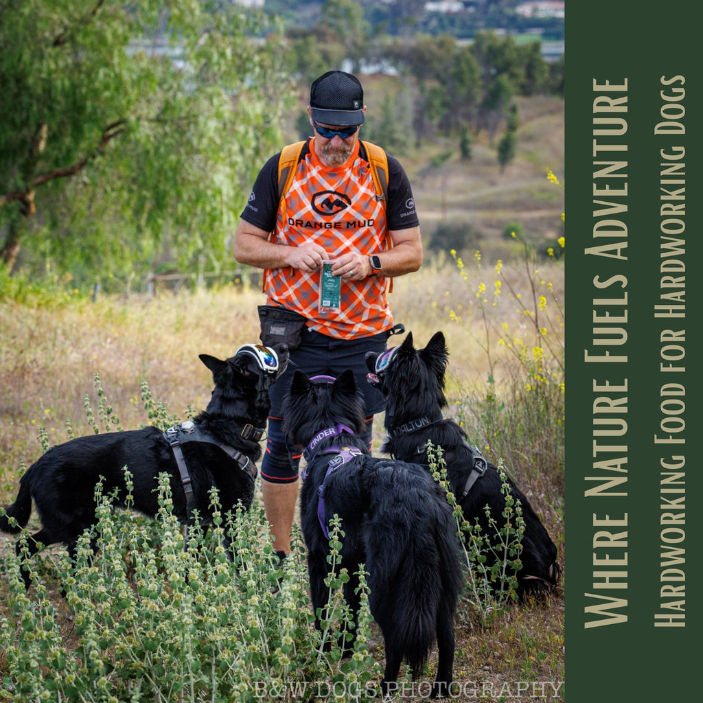 Ruff Bar Pork Ruff Bars - the First Protein Adventure Bar For Dogs