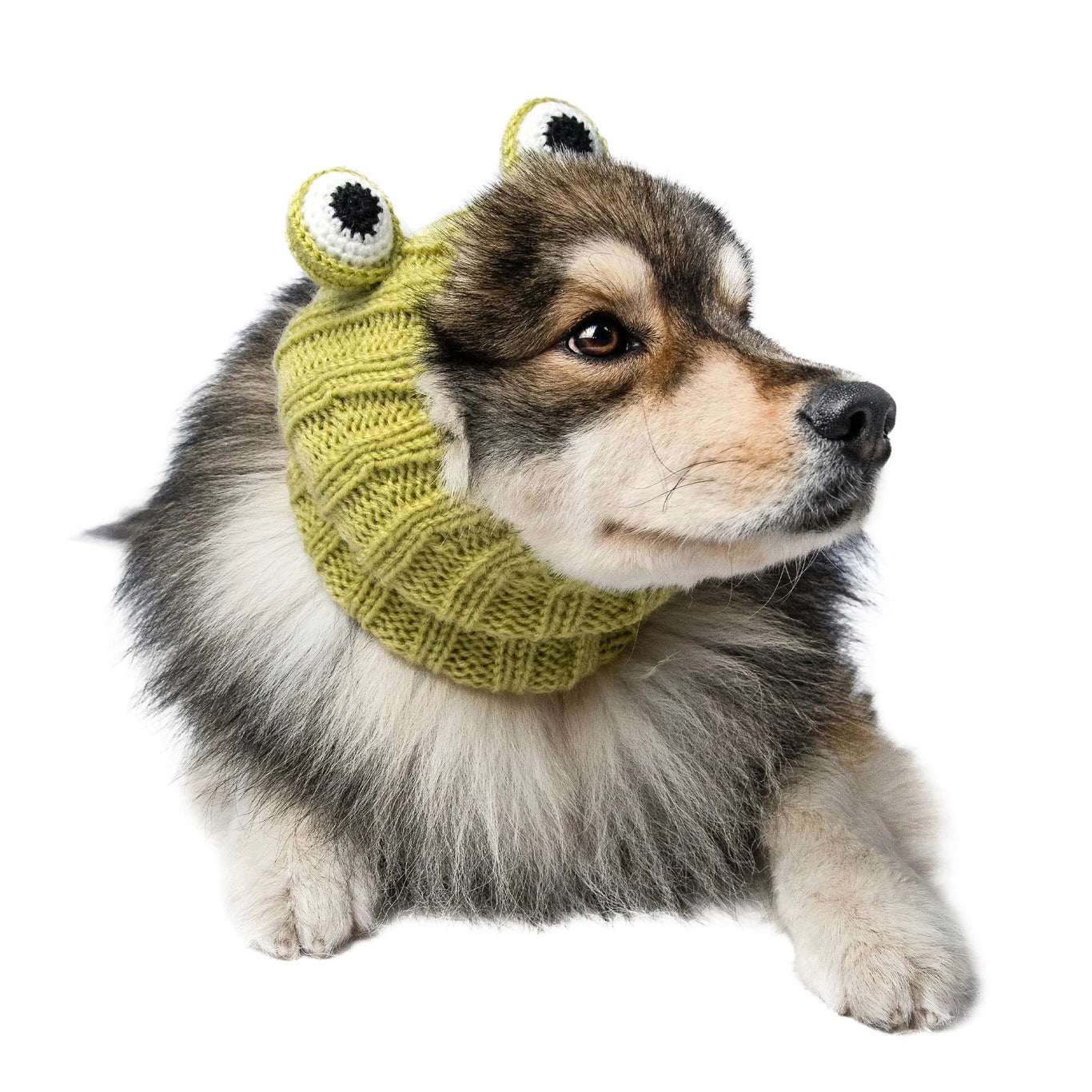 Frog Snood