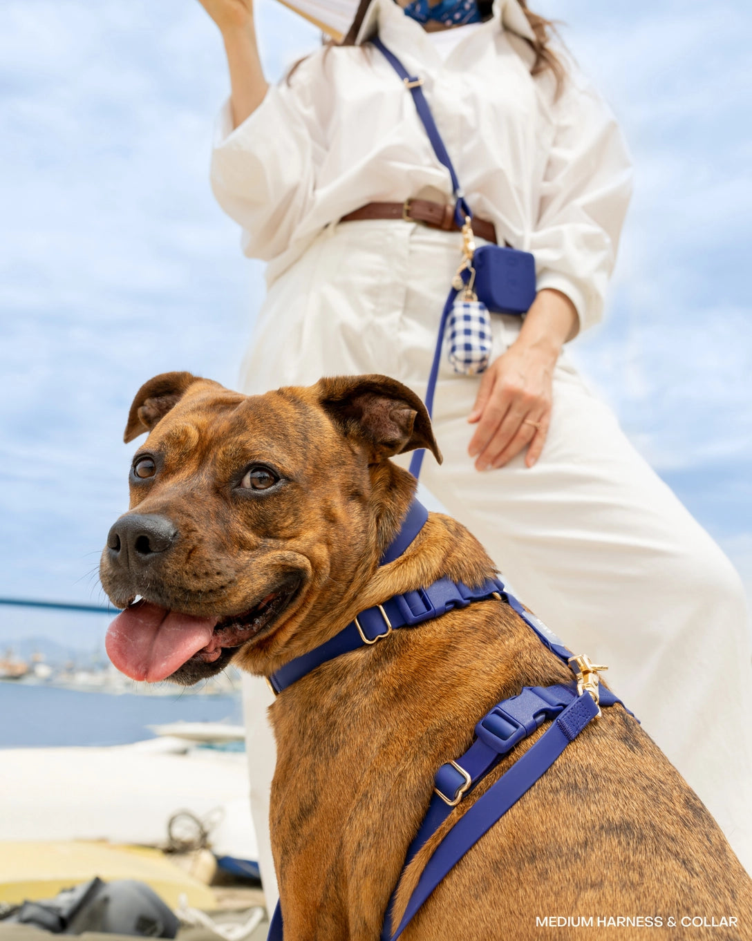 Sunny Tails Cloud Lite Harness