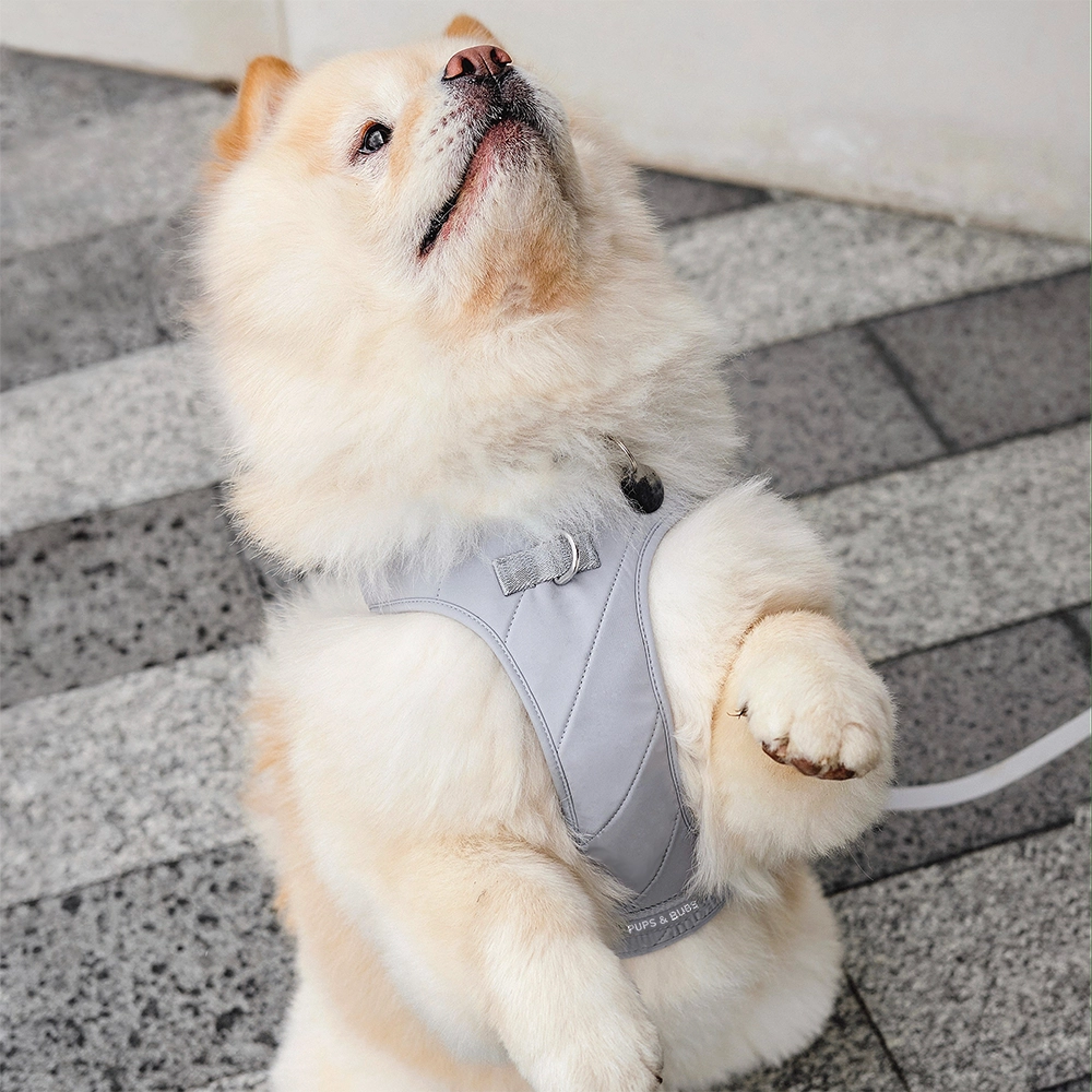 Roam Luxe Dog Harness
