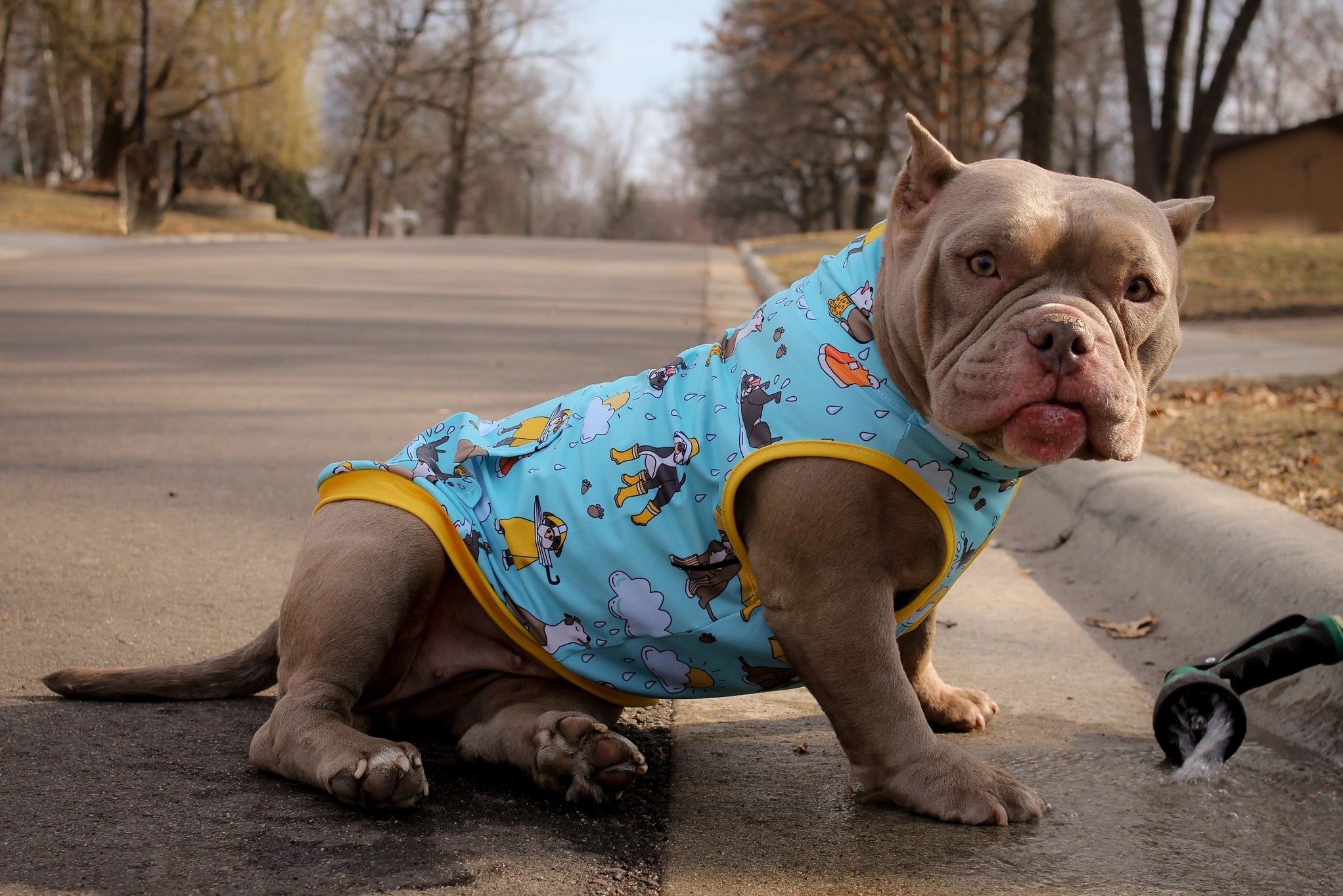 Pittie Clothing Co. 'Its Raining Pitties' Muscle Tee