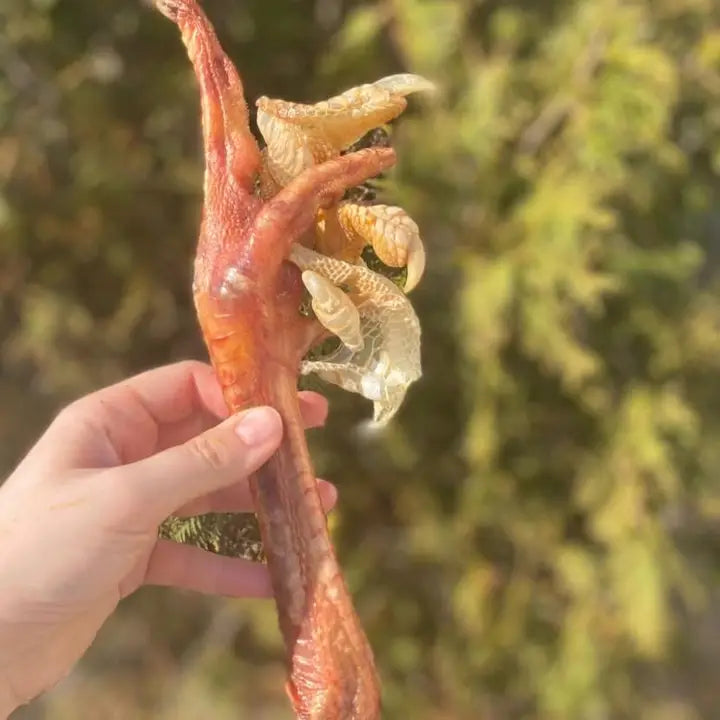 Turkey Foot