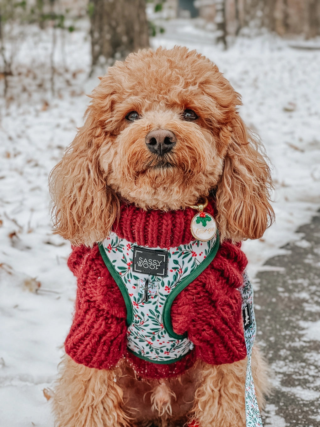 Sassy Woof Dog Cable Knit Sweater