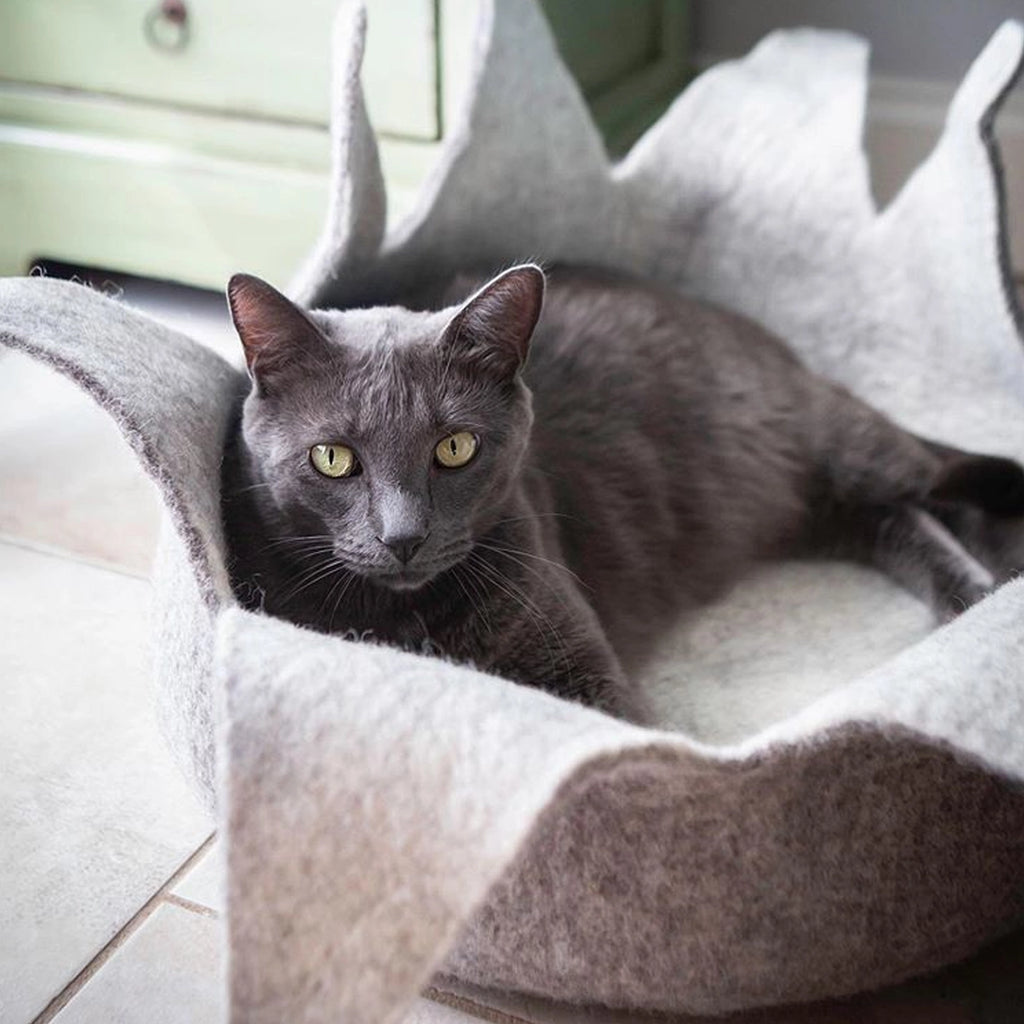 Karma Cat Natural Petal Wool Pet Basket