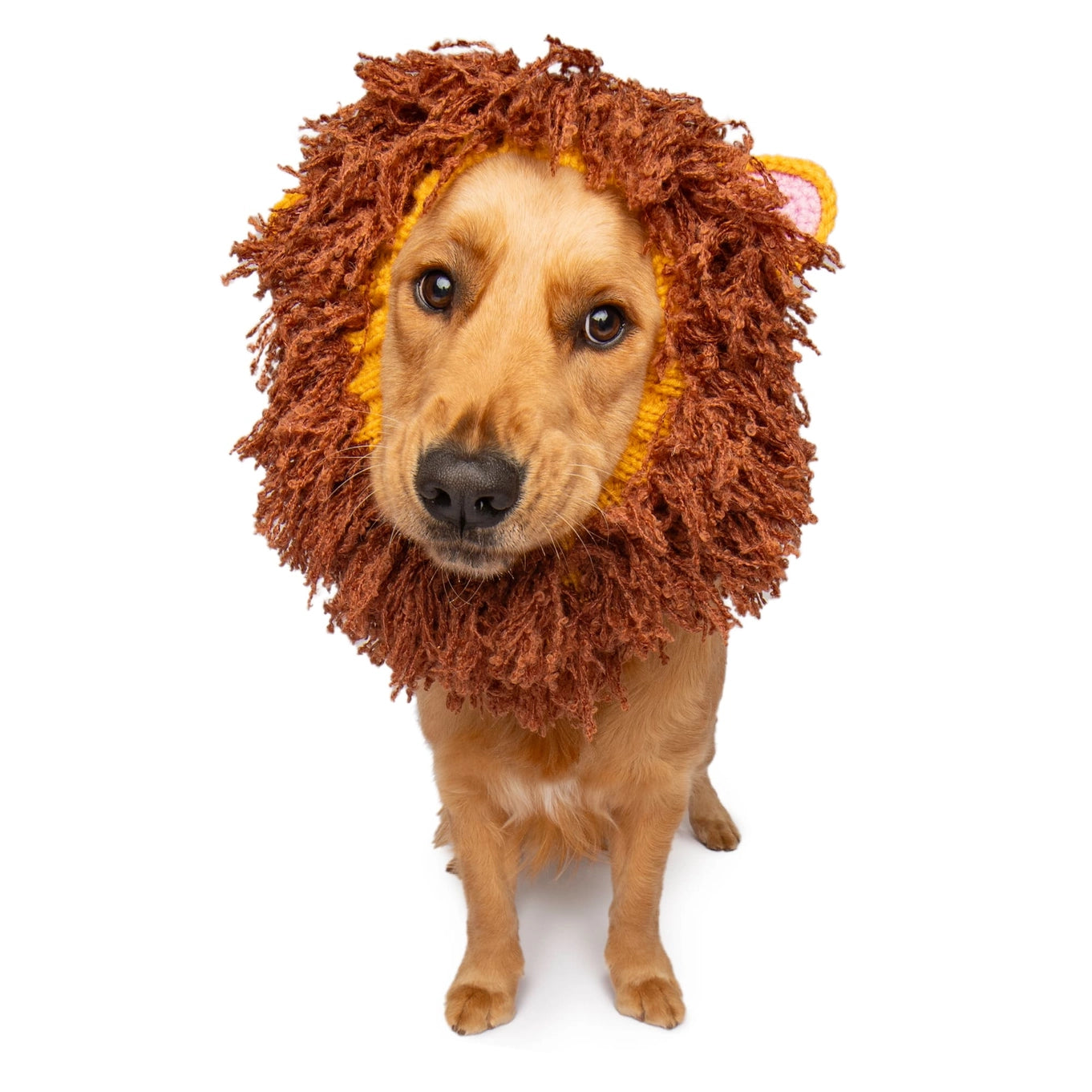 Lion Snood