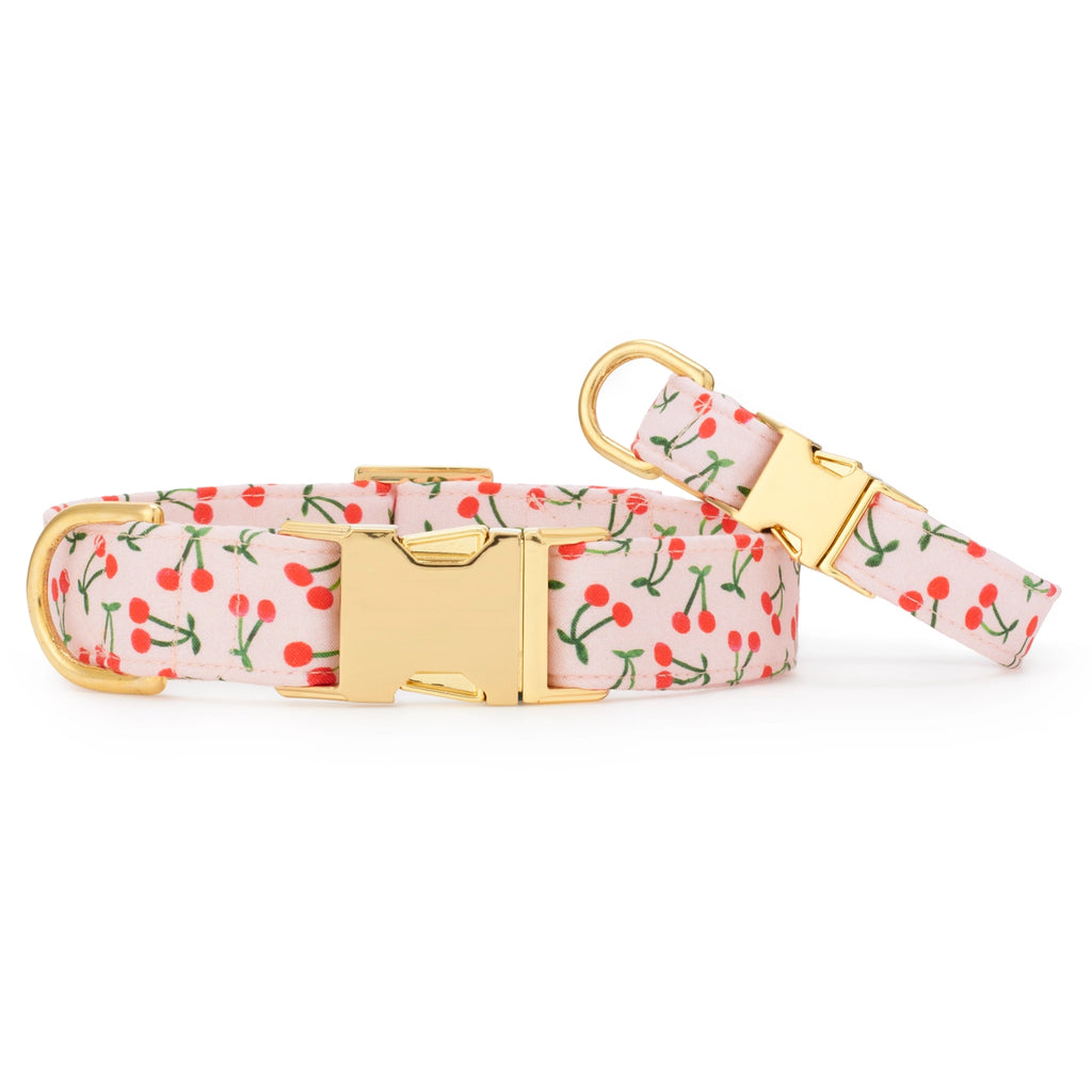 The Foggy Dog Cherry Jubilee Dog Collar
