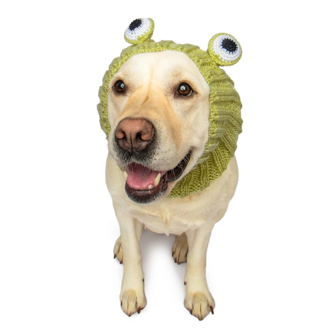 Frog Snood