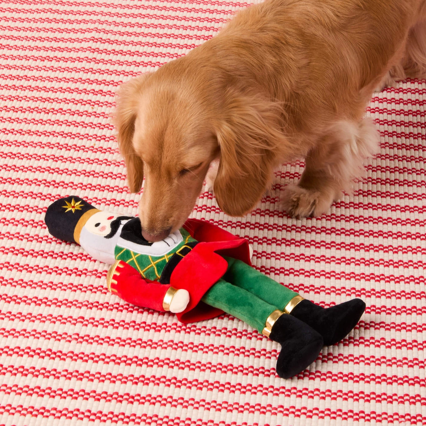 The Foggy Dog Nutcracker Snuffle Dog Toy