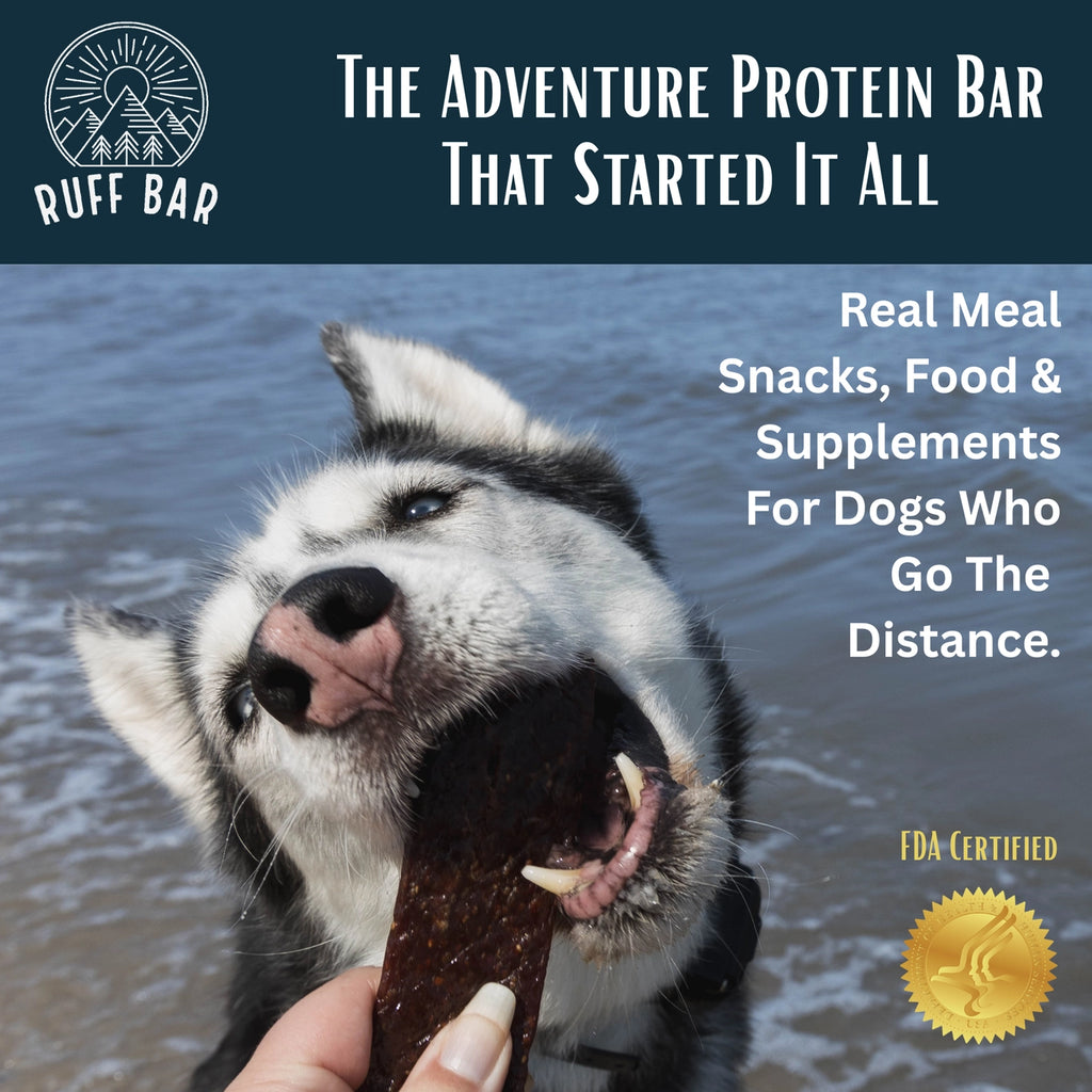 Ruff Bar Beef Ruff Bars - the First Protein Adventure Bar For Dogs