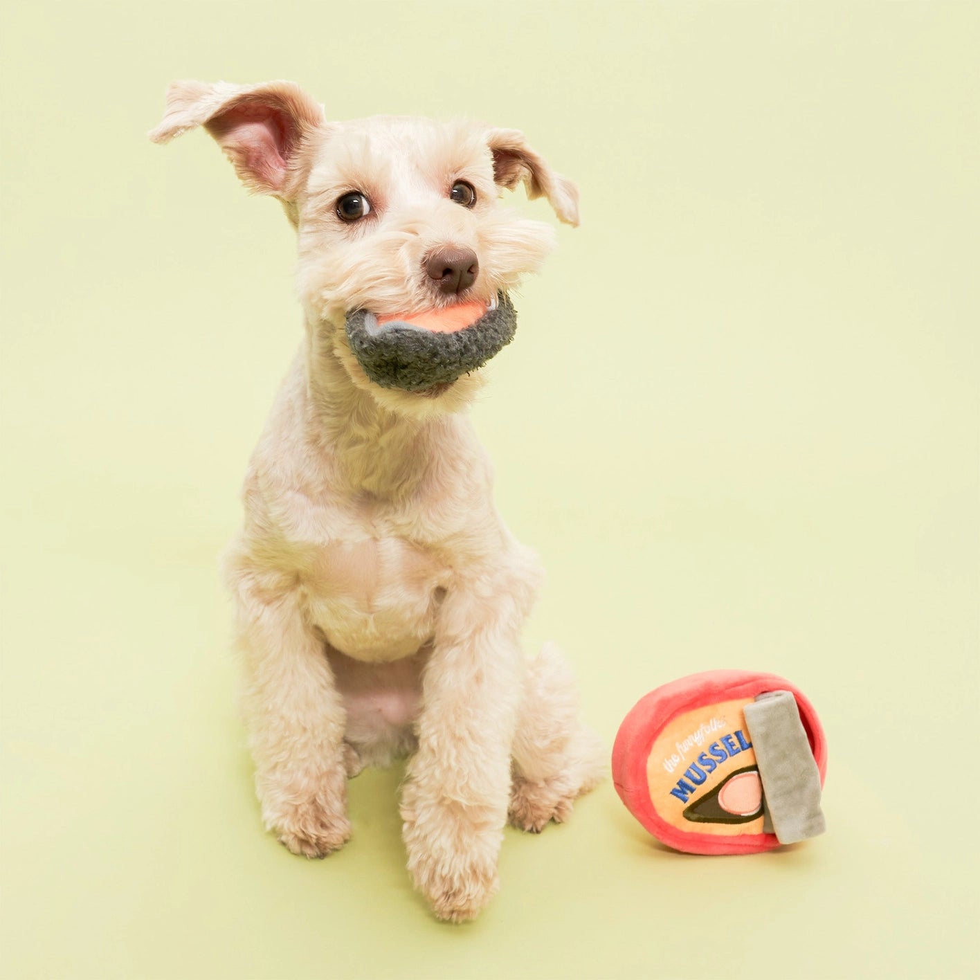 The Furry Folks Tinned Mussel Nosework Toy