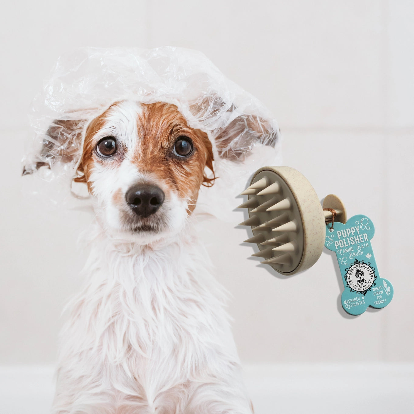 Wag And Bright Puppy Polisher Eco Shampoo Brush