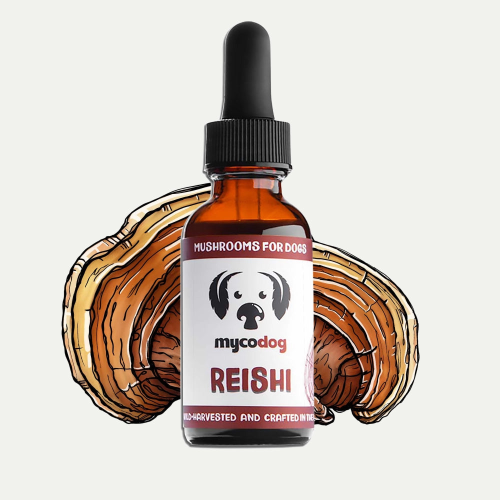 Mycodog Reishi Mushroom Tincture For Dogs | Emotional Balance