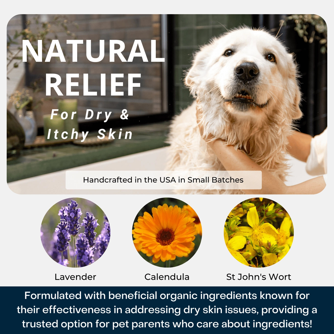 4-Legger Calm Organic Lavender Natural Dog Shampoo with Calendula