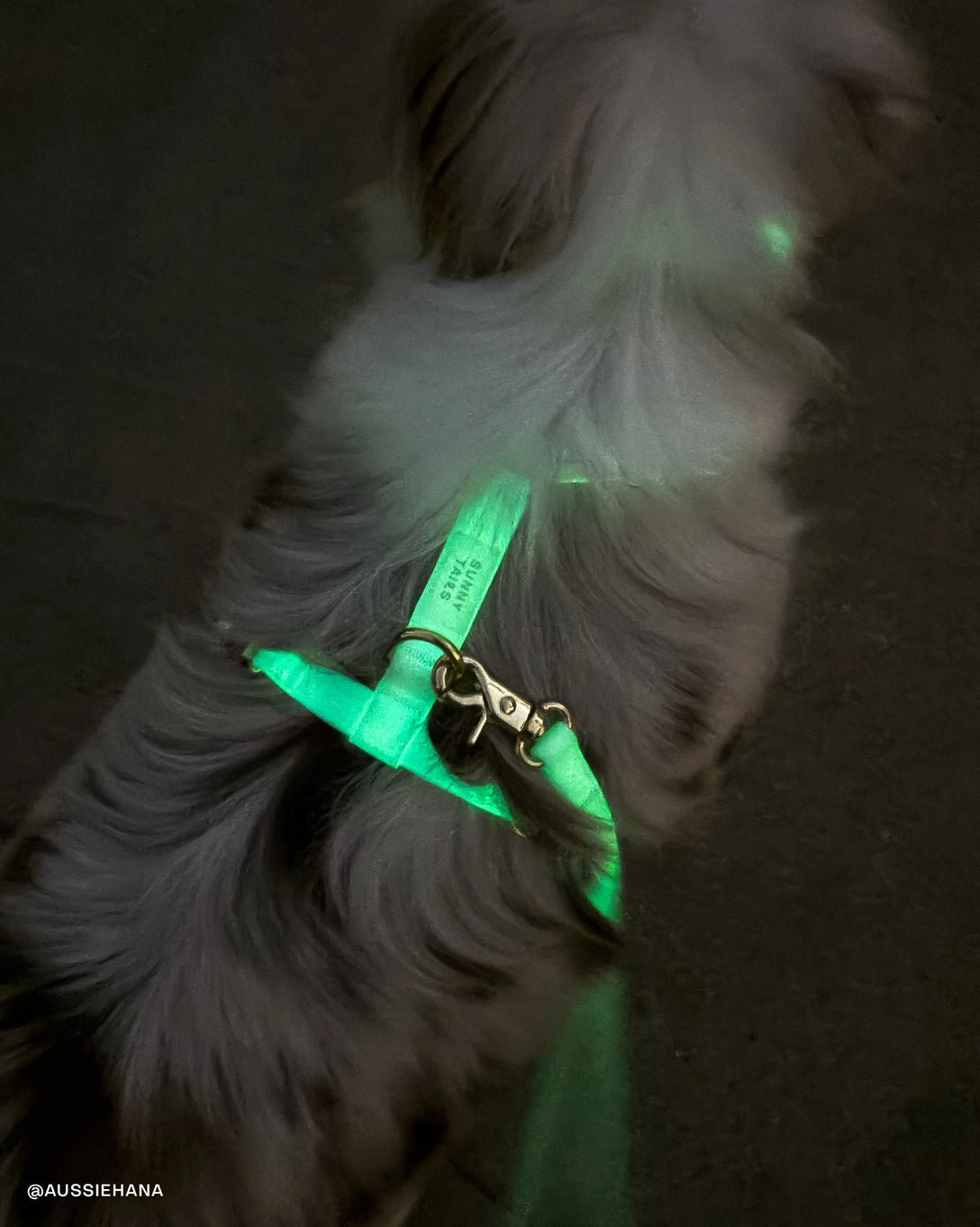 Sunny Tails Lunar Glow Harness