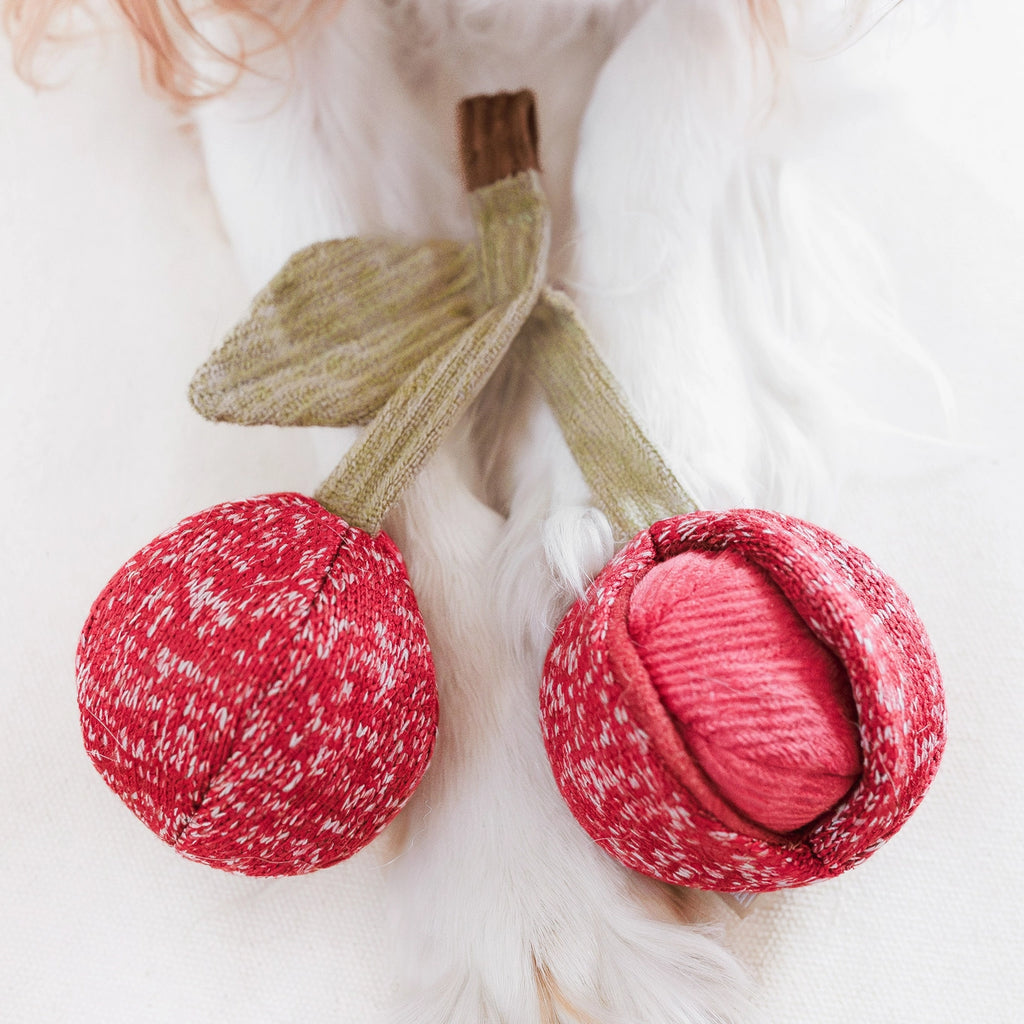 Lambwolf Collective Cherry Pop Enrichment Dog Toy