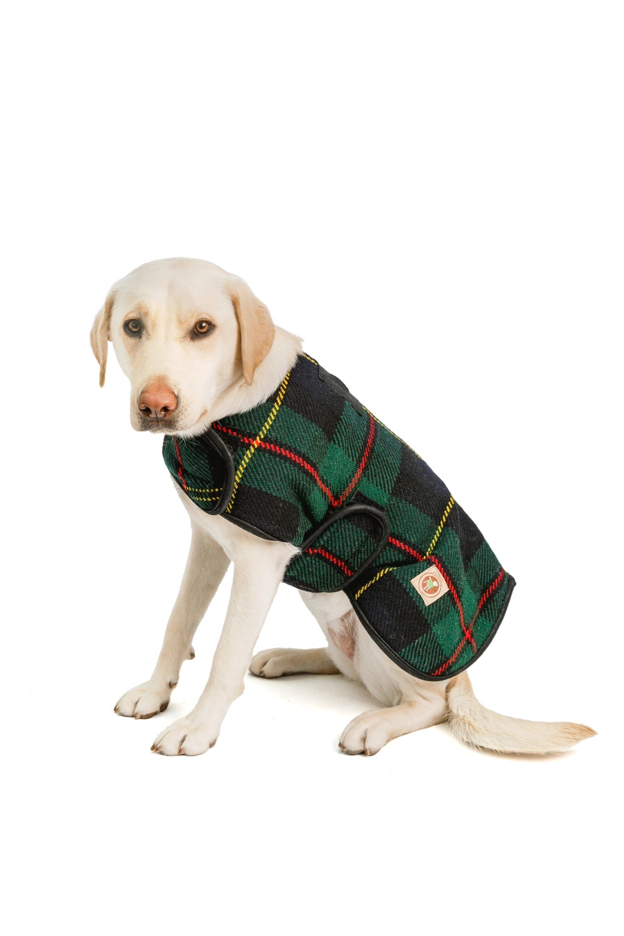 Chilly Dog Blanket Coat