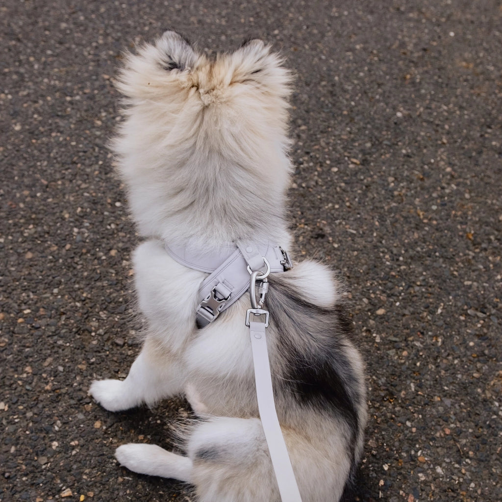 Roam Luxe Dog Harness