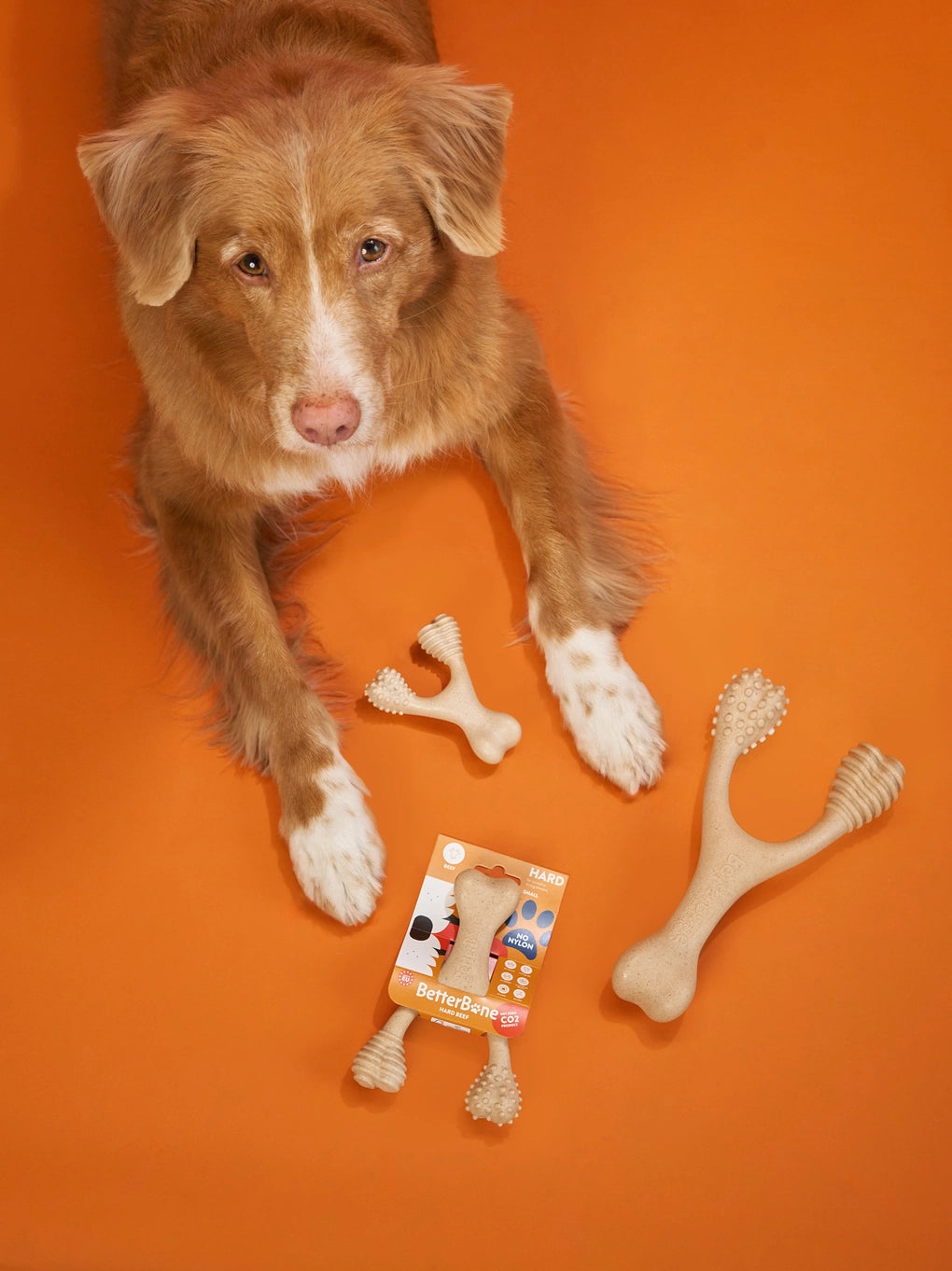 Betterbone