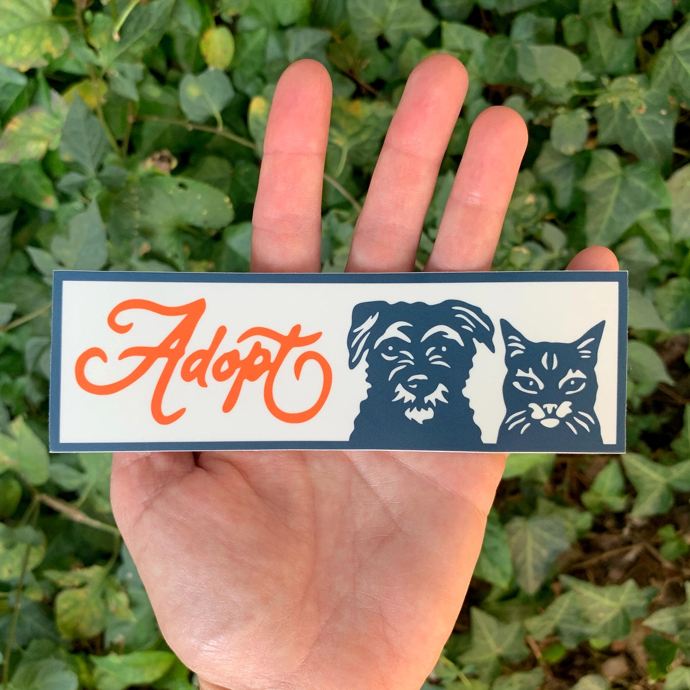 Fresh Fish Stickers
