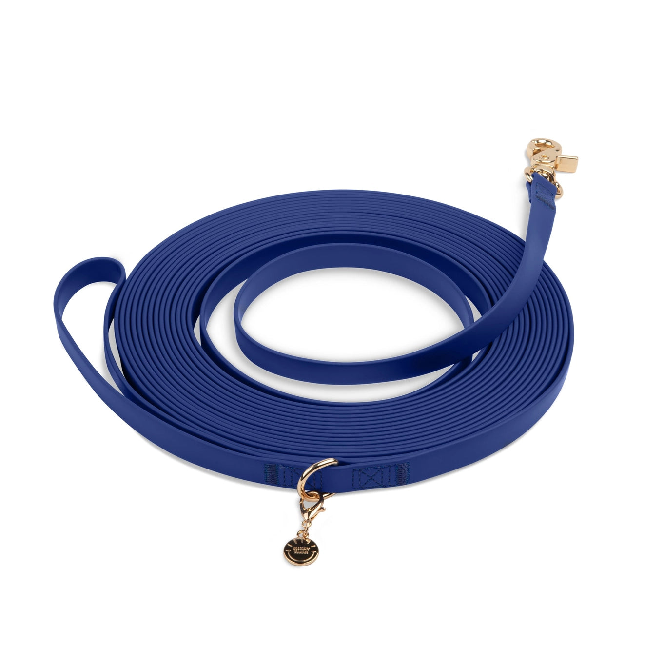 Sunny Tails Waterproof Cloud 30 ft Dog Leash